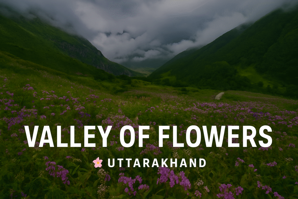 Vally of Flower Uttarakhand Monsoon